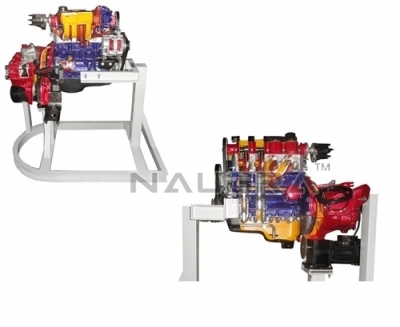 Cut sectional model of four stroke single Cylinder engine assembly